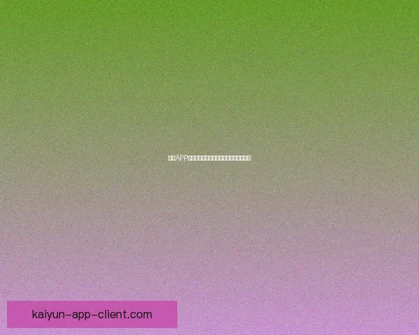 开云APP使用安全性分析与个人信息保护风险评估