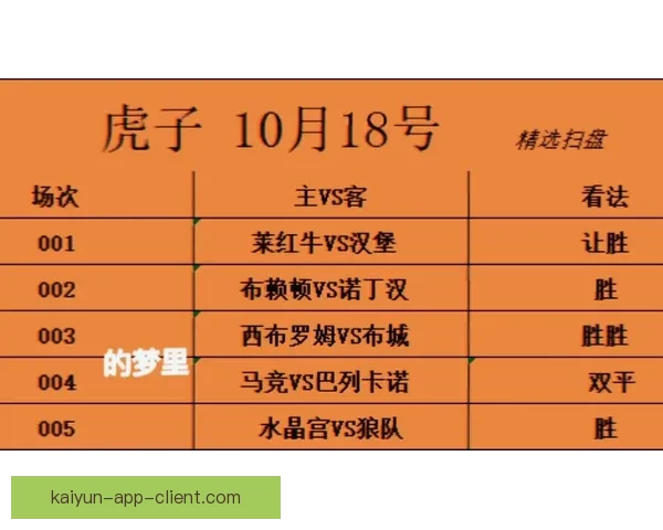 世界杯足球竞猜赔率分析及投注技巧深度解析，助你预测冠军走向